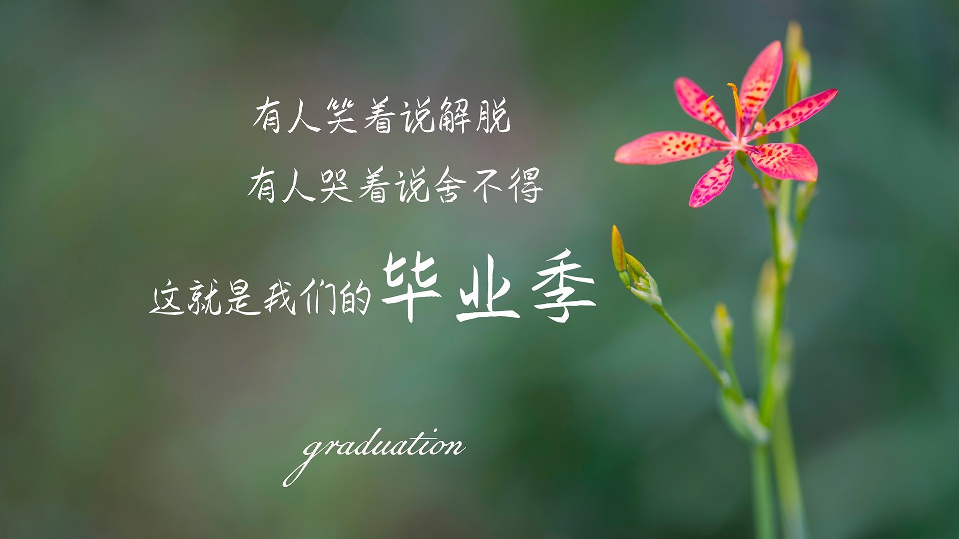 乒坛捷报，韩国队横扫葡萄牙队，林高远闪耀赛场