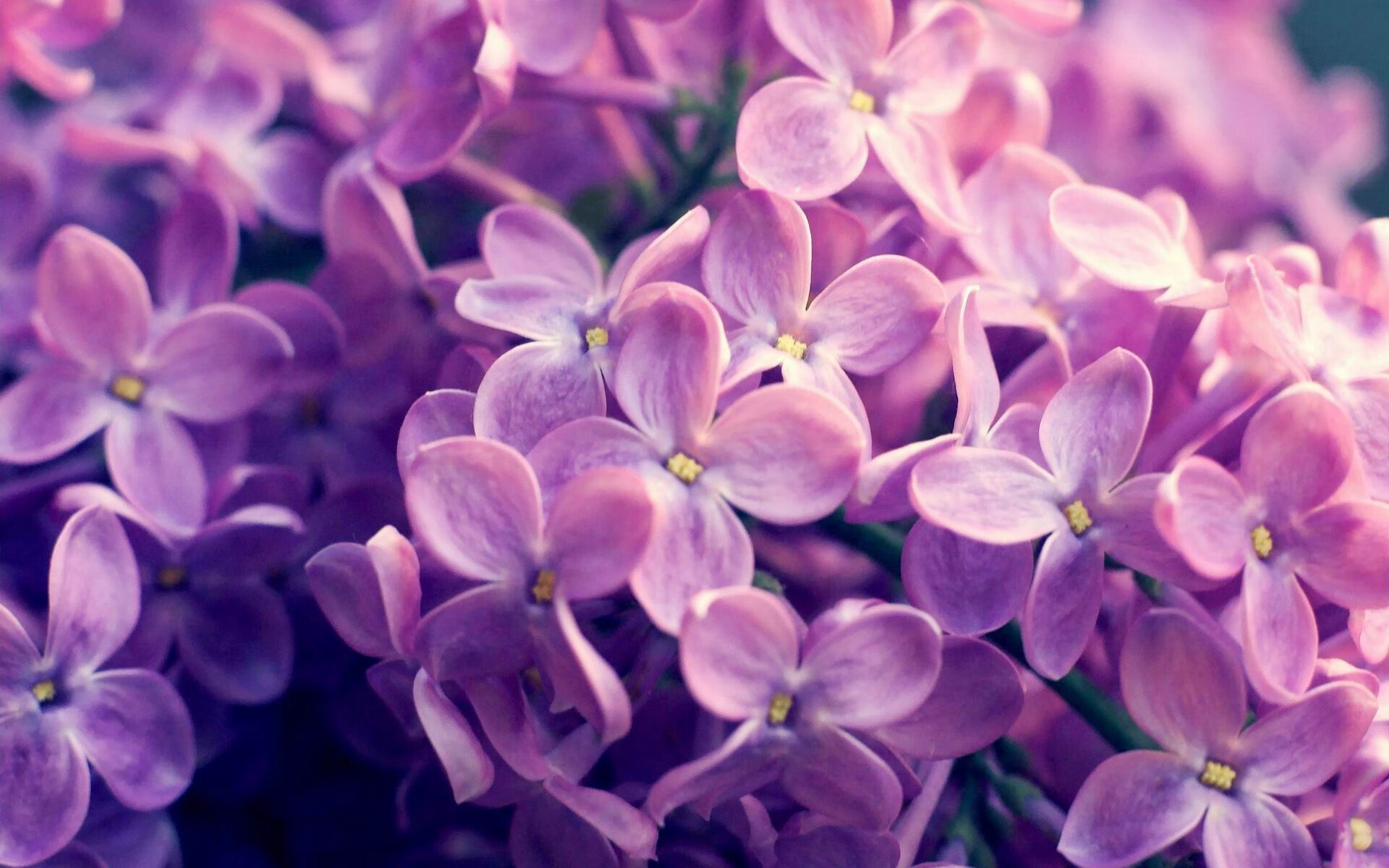 暗夜惊雷，当美学撕碎战术板，库里在灰熊主场重写逆转法则