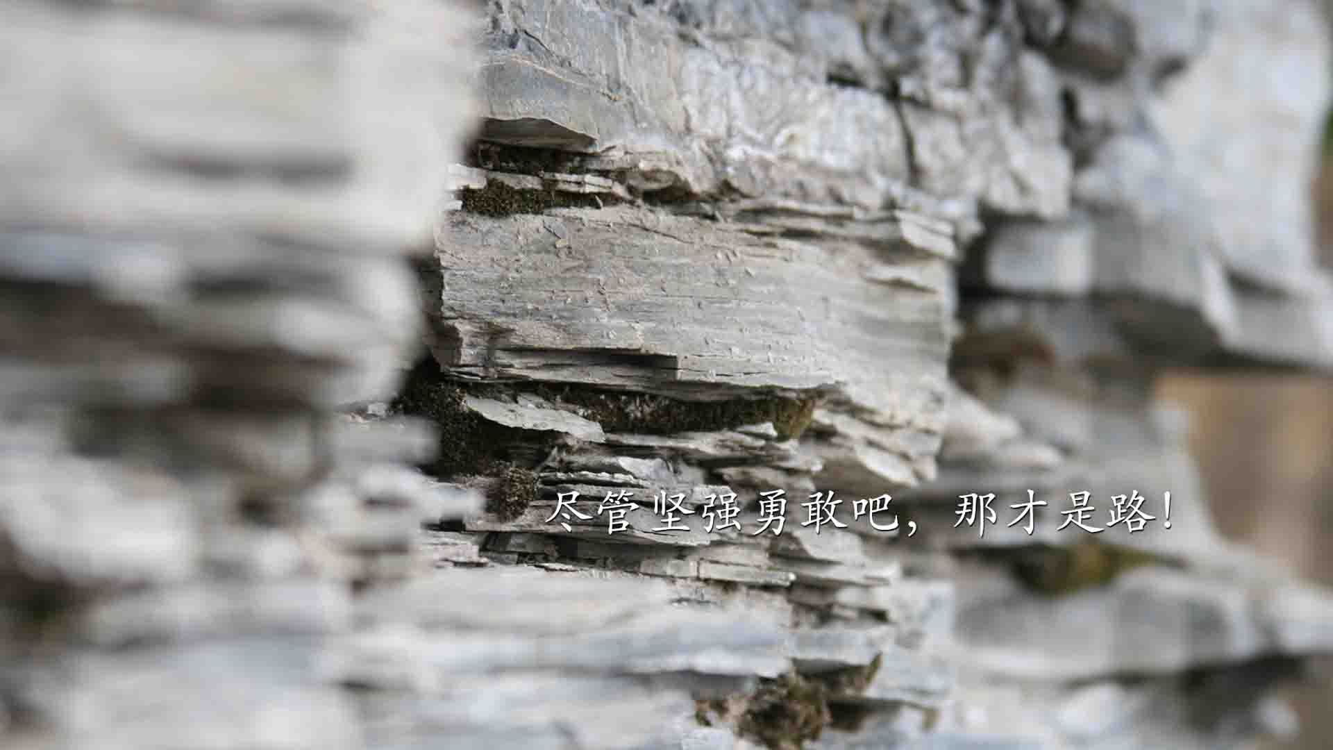 燃烧的橘色，米切尔逆天改命，尼克斯在坍塌边缘起舞