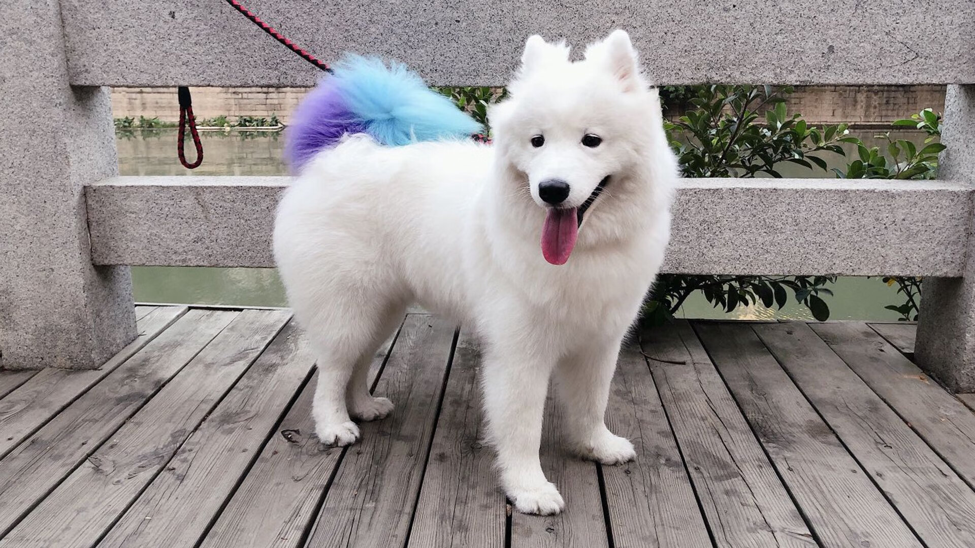 他拔起格陵兰冰原，化作投枪，阿什拉夫的维京式接管，与一场后现代足球战争