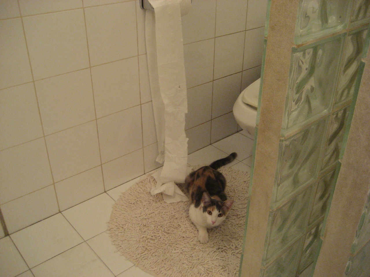 欧冠决赛之夜，马克西那记让平行宇宙分岔的射门