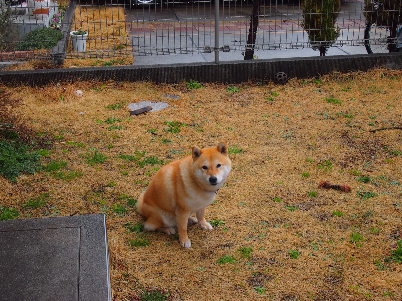 提前收兵!西亚卡姆凌晨三点点燃世界排名争夺战