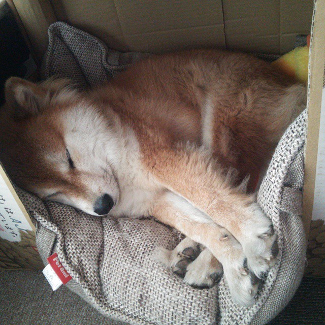 大陆撞上山峦，南非峰巅决胜瑞士，蒂亚戈那一刻改写历史