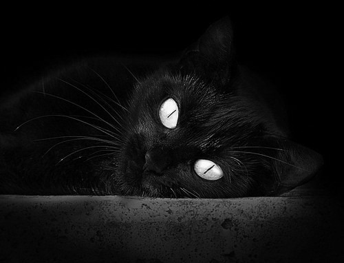 三笘薰爆发引领攻势,哥斯达黎加加时绝杀佛罗伦萨