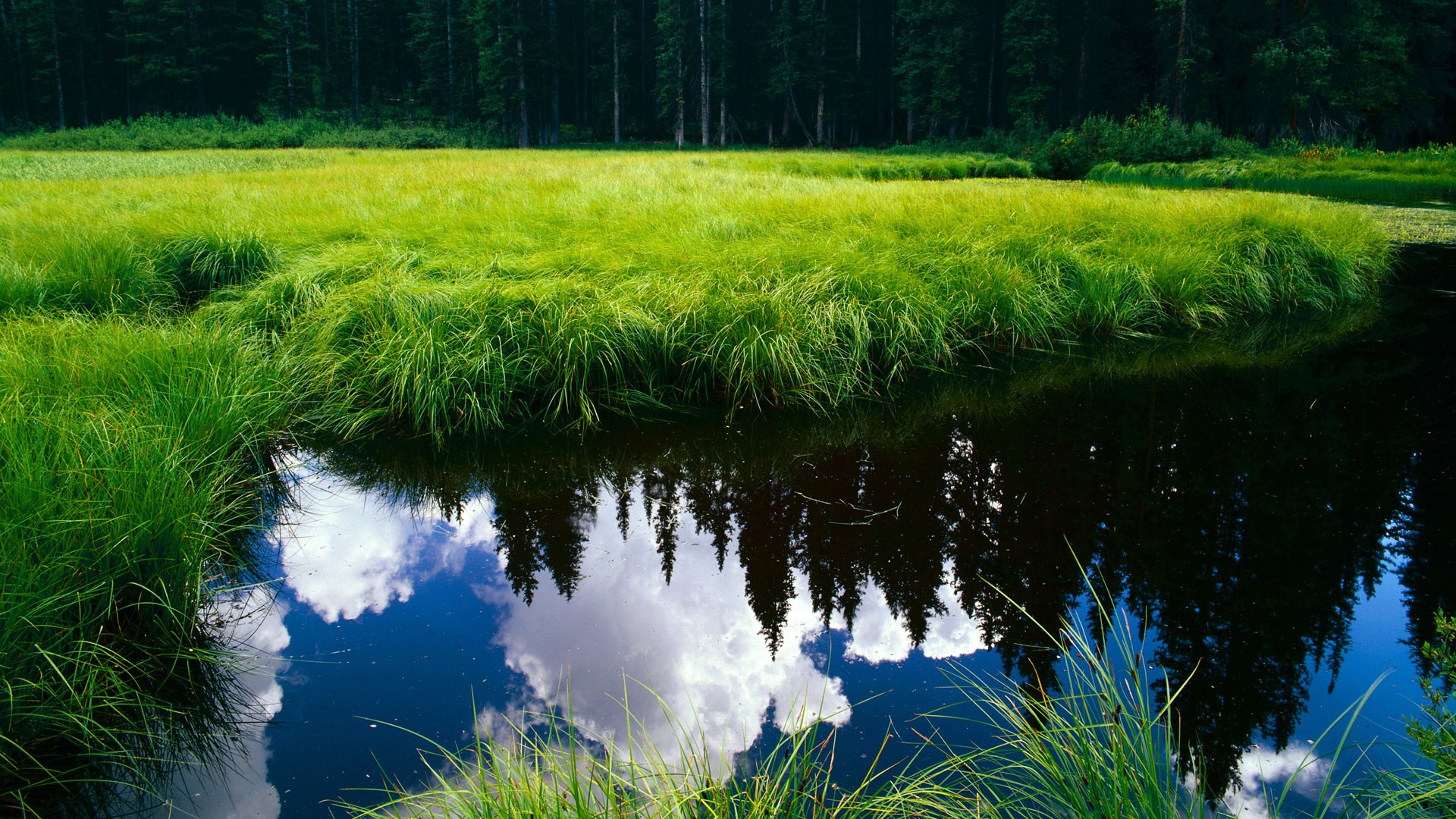 评分拉满的爱德华兹难阻深圳队胜利,爵士客场饮恨