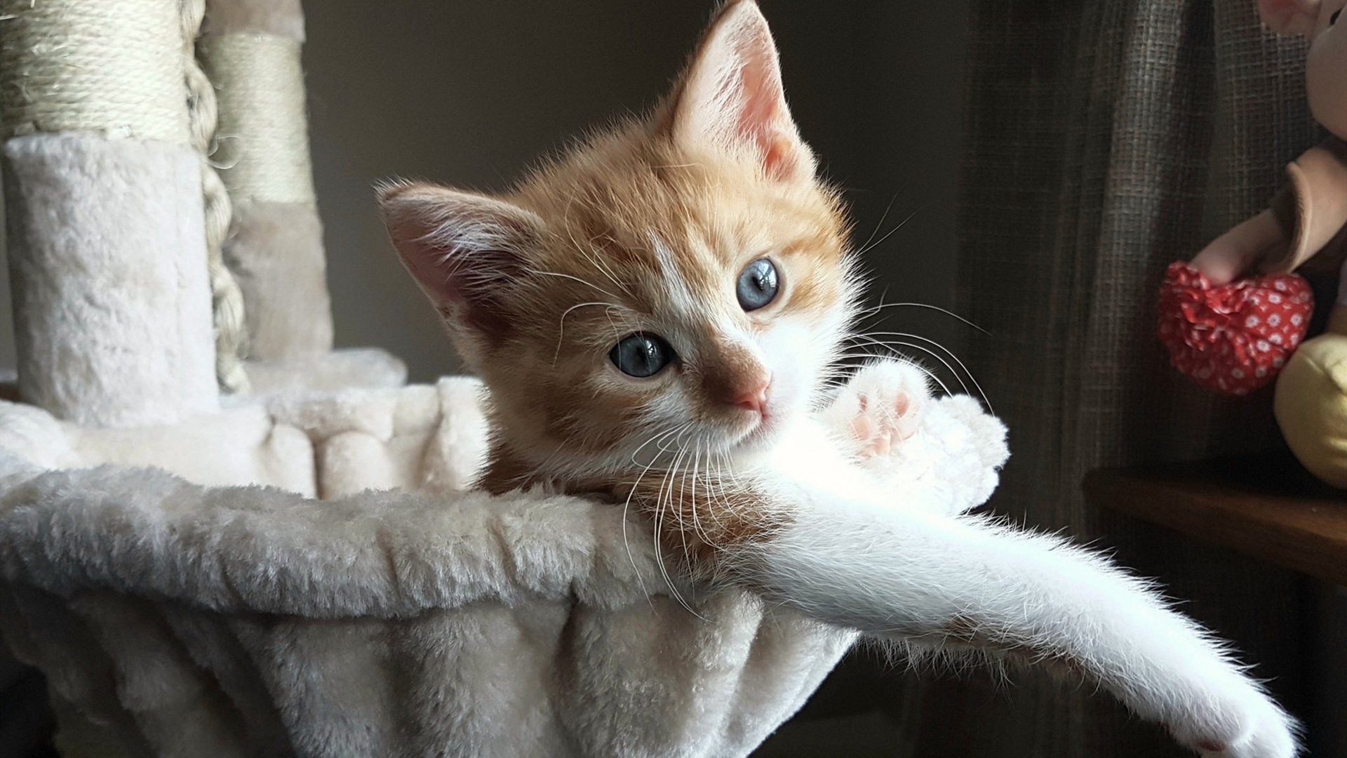 哈登独木难支,辽宁铁军浇灭森林狼!中美篮球巅峰战现唯一胜负手