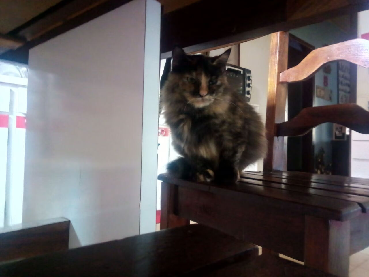 浙江铁壁锁链锁死掘金，惊魂17秒！克莱一剂救命汤价值连城