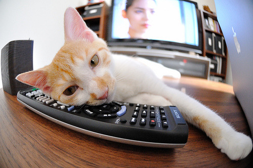 德罗赞43+7破防绿军！雷霆逆转背后，老将的无声宣言