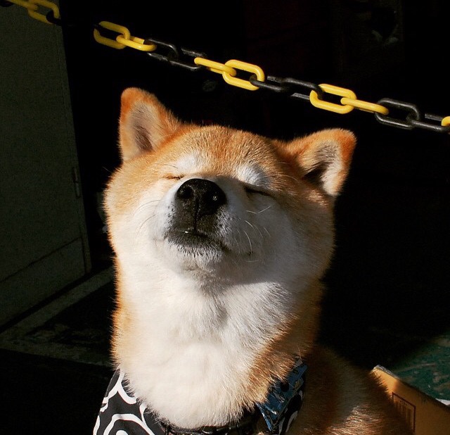 赛道与球场，F1新赛季揭幕战与马刺公牛之战双线诠释终极速度哲学