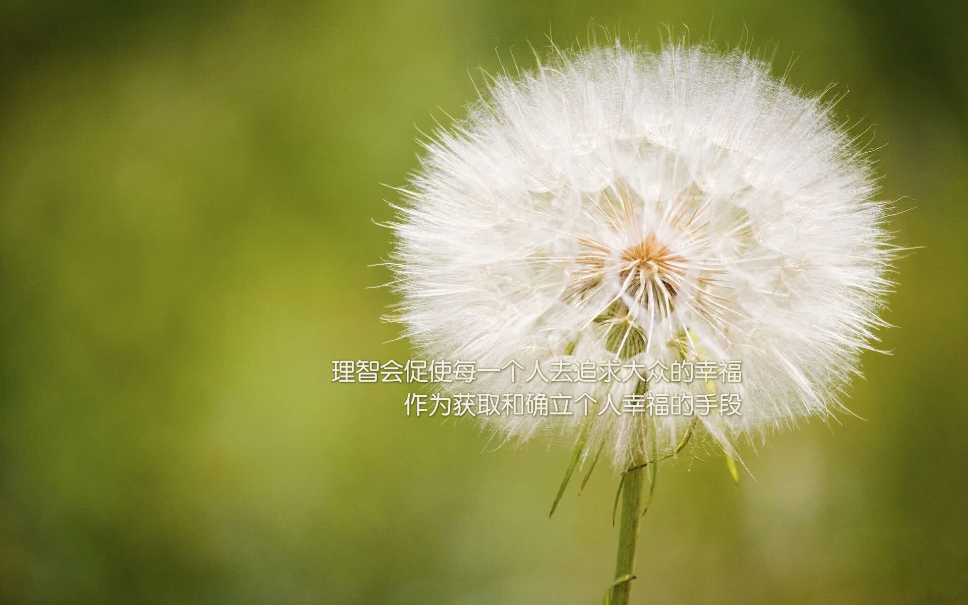 逆转之魂,2026世界杯焦点战,凯恩用节奏掌控写下英格兰的绝地反击