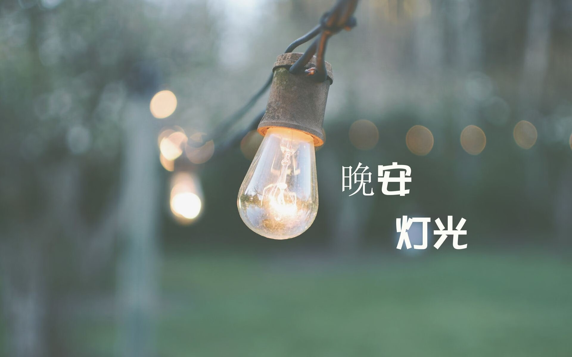 绝杀之夜,哈基米的致命一击,伊朗逆转斯洛伐克铸就H组唯一传奇